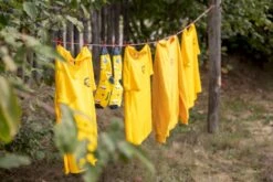 Easy Camp Spirit 300 Tunneltent - 3 Persoons - Groen -Camping Verkoopwinkel 1267 1900 waslijn