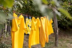 Easy Camp Eclipse 300 Tunneltent - 3 Persoons - Groen -Camping Verkoopwinkel 1267 1900 waslijn 1 2