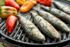 CADAC Grillo Chef 40 Gasbarbecue - BBQ/Chef Pan 21 CADAC Grillo Chef 40 Gasbarbecue - BBQ/Chef Pan -Camping Verkoopwinkel 900 1348 grillo chef 40 bbq grid