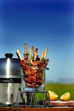 Cobb Pro Premier Air Houtskoolbarbecue - Grijs -Camping Verkoopwinkel cobb premier 3