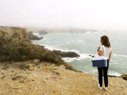 Mobicool MT08 Blauw Autokoelbox - 8 Liter -Camping Verkoopwinkel mobicool mt 08 cliff woman 1 resultaat